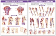 Trigger Point Chart Set Torso and Extremeties
