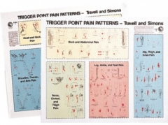 travell simons trigger point patterns wall charts trigger point referred charts