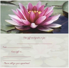 Lotus Flower Non-Folded Gift Certificates - 12 Pack