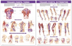 Trigger Point Chart Set Torso and Extremeties