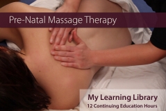 Prenatal Massage - 12 Online CE hrs