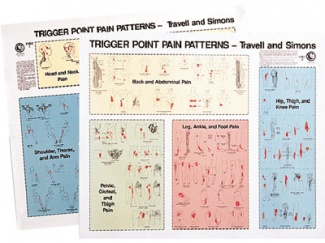 Trigger Point Referral Patterns Chart