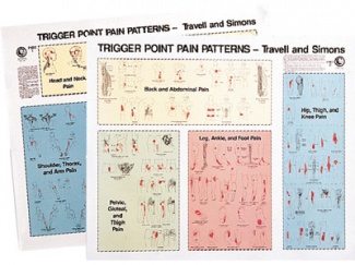 Trigger Point Wall Charts