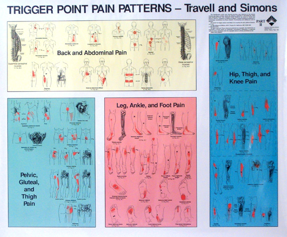 free to read travell and simons trigger points free to read travell and simons trigger points