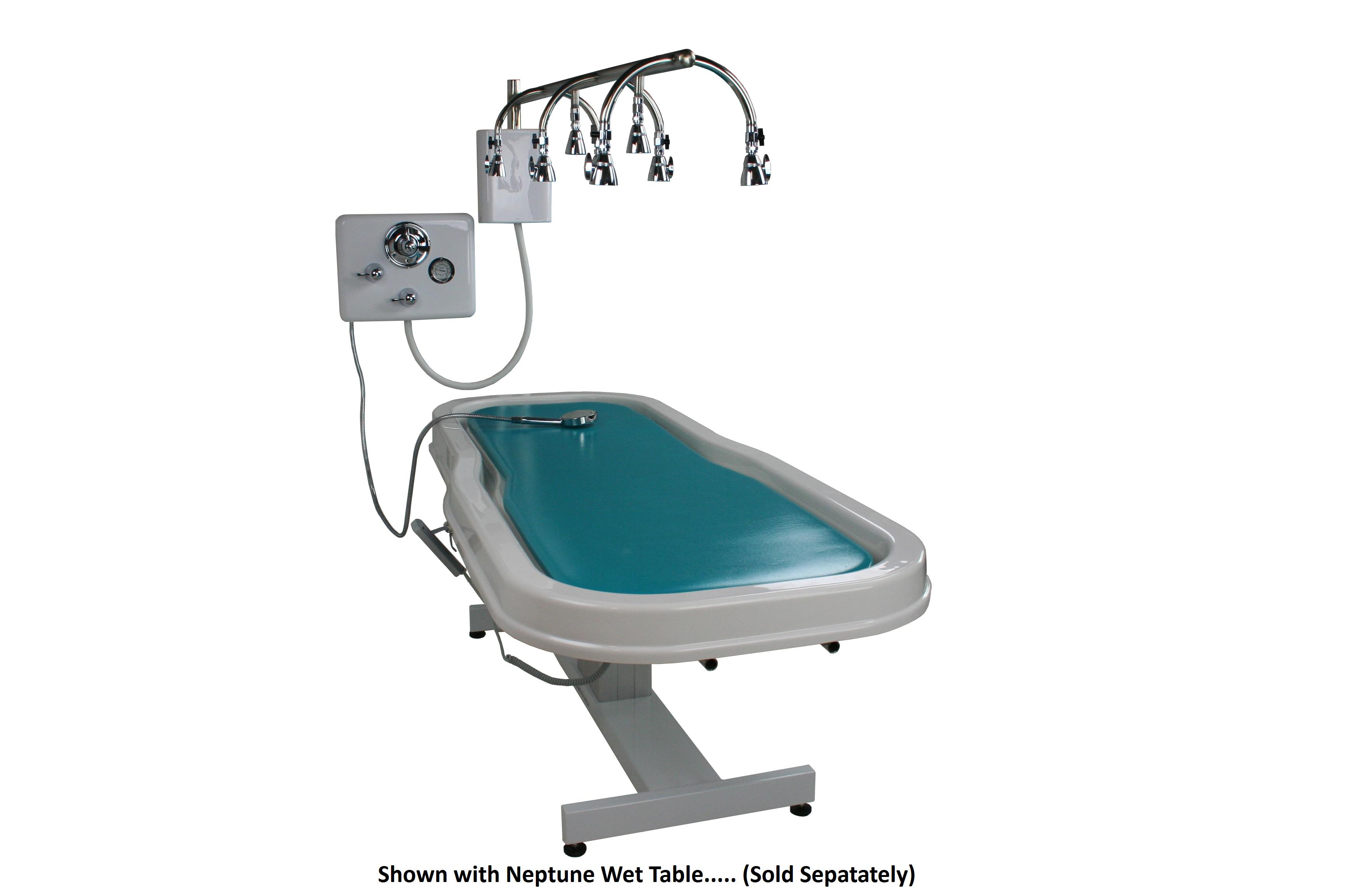 Vichy Shower Vichy Showers 22003 Touch America