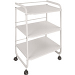 esthetician utility cart