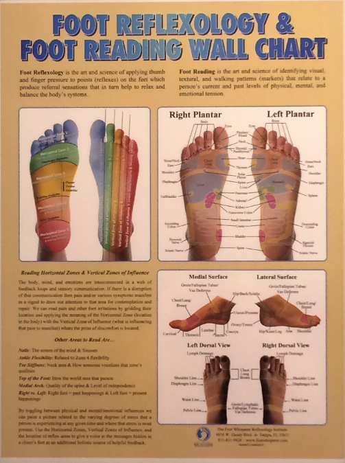 Foot Reflexology Foot Chart