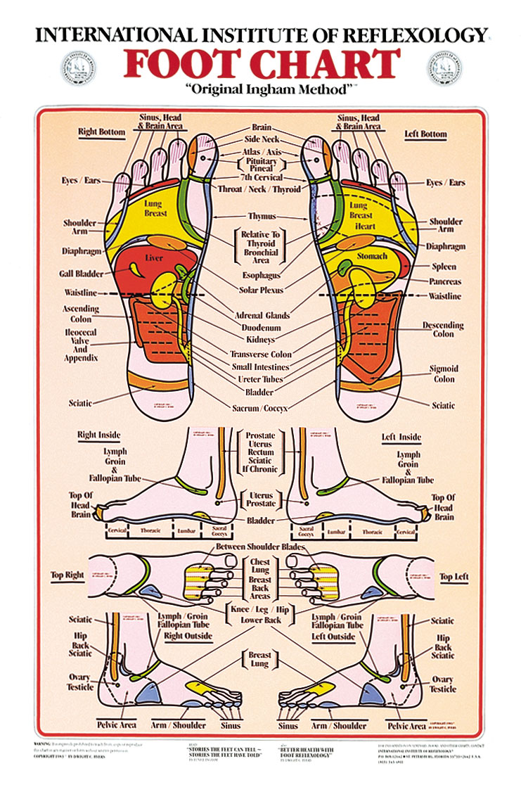 Reflexology Chart