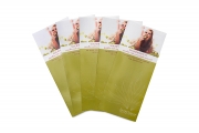 Paraffin Trifold Brochure
