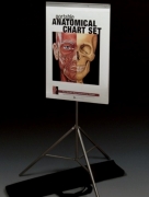 Portable Anatomical Chart Set