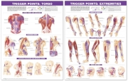 Trigger Point Chart Set Torso and Extremeties