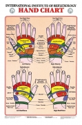 Hand Reflexology Chart