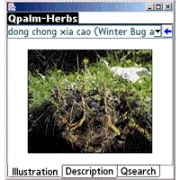 Qpalm-Herbs 1.0 - For Palm