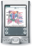 Qpalm-Acupuncture 1.0 - For Palm
