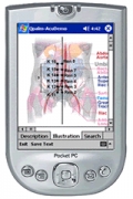 Qpalm-Acupuncture 1.0 - For Pocket PC