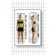 Postural Analysis Grid Chart - door size