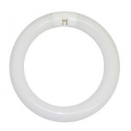 Replacement Flourescent Circle Bulb