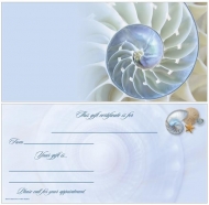 Nautilus Shell Non-Folded Gift Certificates - 12 Pack