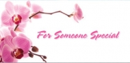 Someone Special Non-Folded Gift Certificates - 12 Pack