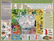 Antioxidant & Anti-inflammation Chart