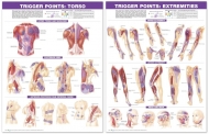 Trigger Point Chart Set Torso and Extremeties