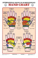 Hand Reflexology Chart