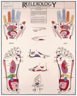 Reflexology Hands & Feet Chart - Flexible Lamination