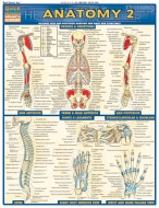 Quick Study Anatomy 2