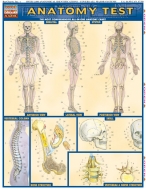 Quick Study Anatomy Test