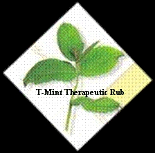 Gabriel Center T-Mint Therapeutic Rub - 8 oz.