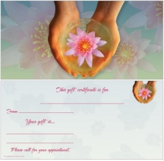 Hands with Lotus Non-Folded Gift Certificates - 12 Pack