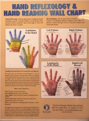 Hand Reflexology & Hand Reading Wall Chart