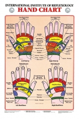 Hand Reflexology Chart