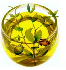 100% Pure Golden Jojoba Oil