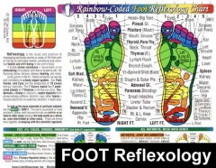 Foot Reflexology Massage Chart