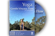 Yoga - Gentle Vinyasa Flow