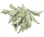 California White Sage Loose Leaves BULK - 1/2 lbs.