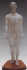 Model of the Human Body - Male - 19 inch with stand