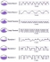 Thumper Versa Pro Massager