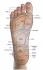 Daiwa Reflexology Foot Massager