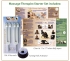 Massage Therapist Tuning Fork Starter Set - for Sound Healing