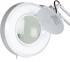 2-in-1 Facial Steamer & Magnifying Lamp