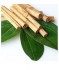 Therapro� Single Note Essential Oils 100% Pure Essential Oils