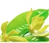 Therapro� Single Note Essential Oils 100% Pure Essential Oils