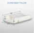 Core Econo-Wave Pillow
