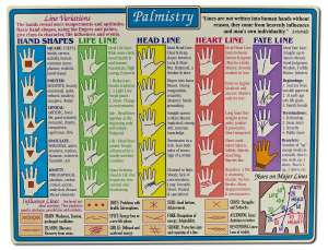 Palmistry Reference Chart - Charts
